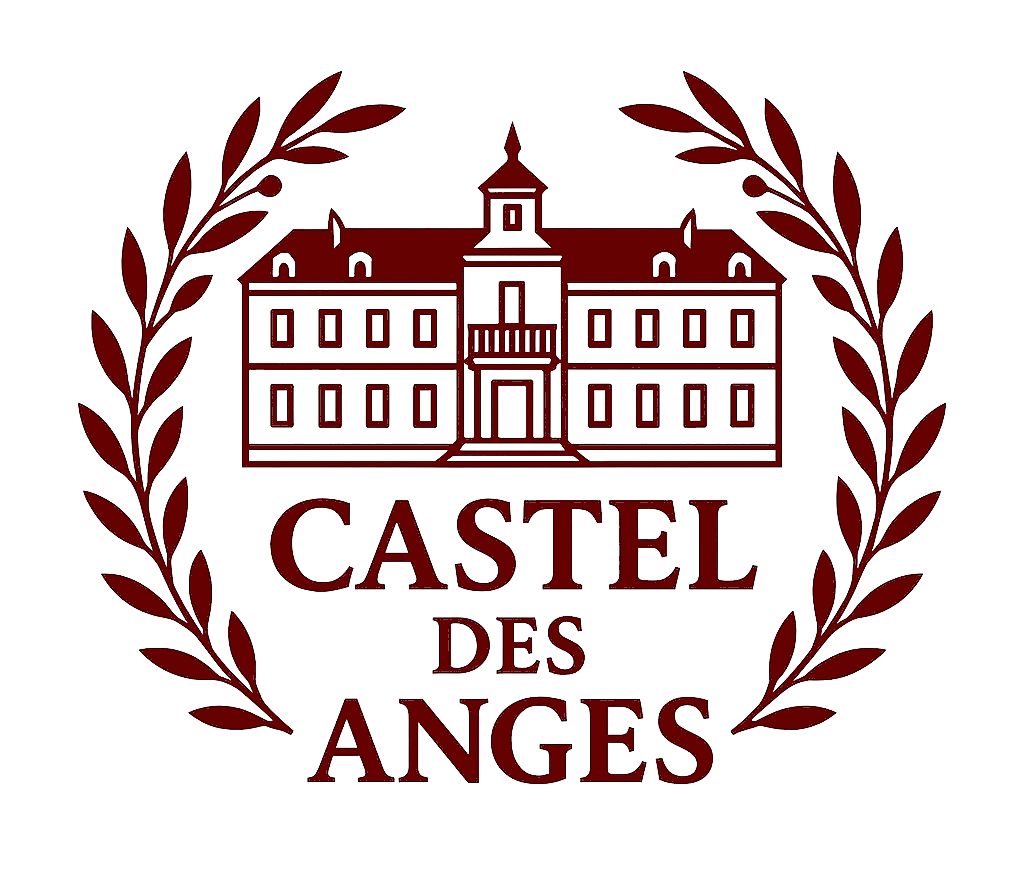 Logo Le Castel des Anges - Château chambres d'hôtes Wailly-Beaucamp